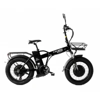 Электровелосипед Elbike Taiga 2 Twix